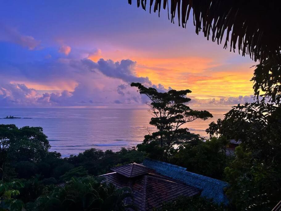 Del Mar With Breathtaking View Of Ocean & Jungle Villa