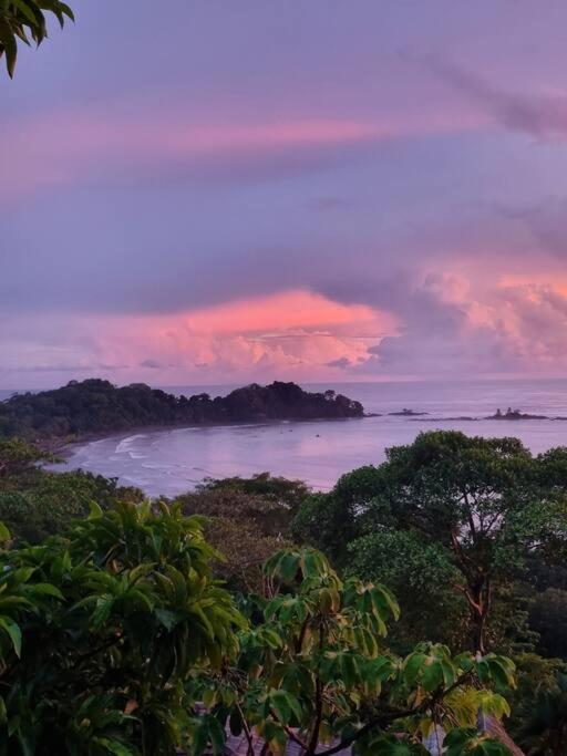 Del Mar With Breathtaking View Of Ocean & Jungle Villa *